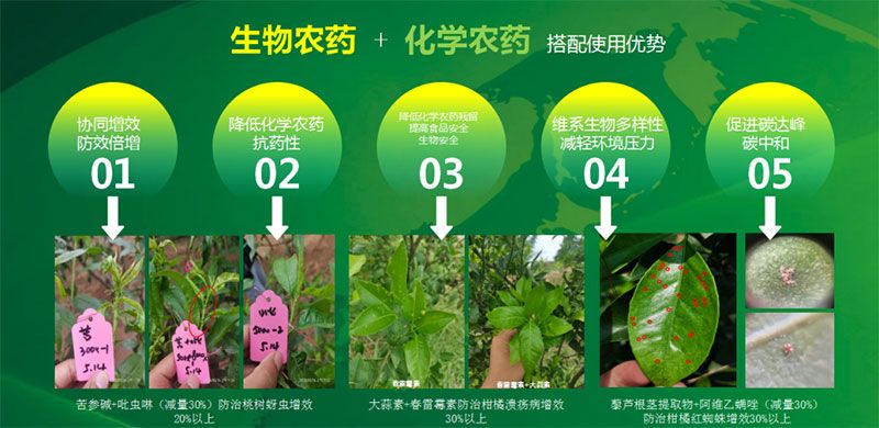 新朝陽在第六屆中國農(nóng)藥行業(yè)市場和銷售高峰論壇做“生物農(nóng)藥+化學(xué)農(nóng)藥，引領(lǐng)植保市場未來”主題報告