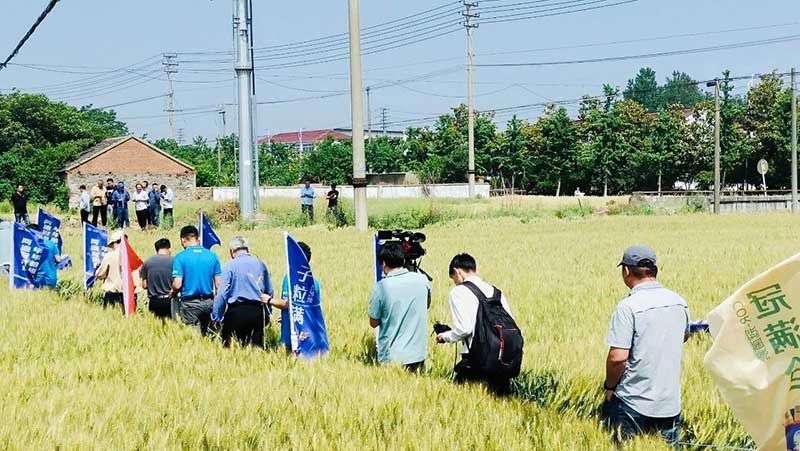 520健康植保日——擁抱綠色農(nóng)業(yè)，我們在行動