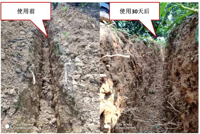 “土壤板結(jié)克星”：土壤調(diào)理劑你了解多少？
