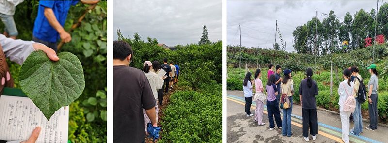 首個(gè)！中國農(nóng)業(yè)大學(xué)攜手新朝陽啟動(dòng)“朝陽稼穡計(jì)劃”